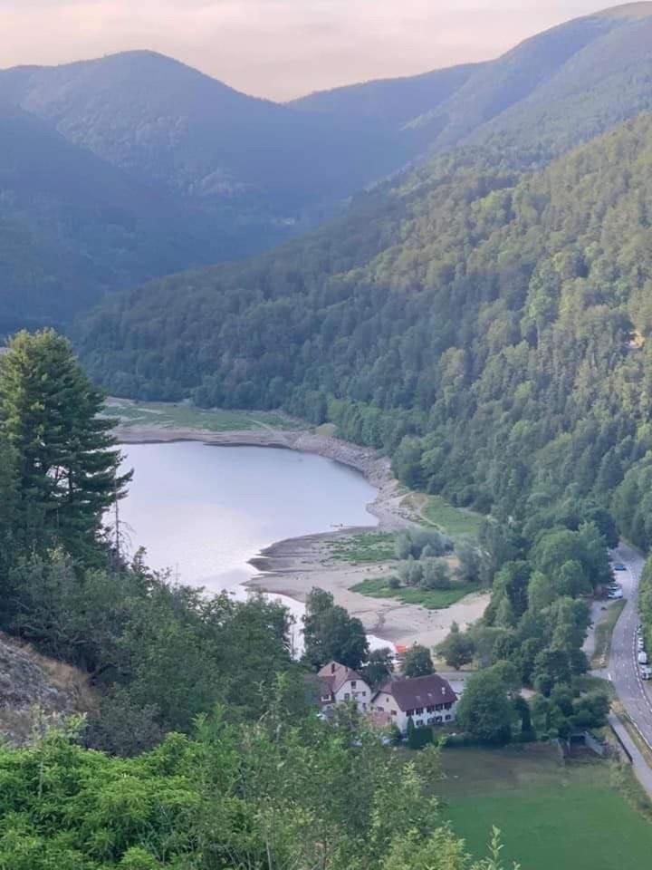 Petite Maison Au Calme Avec Jardin Cloture Les Animaux Bienvenue Mollau Exteriör bild
