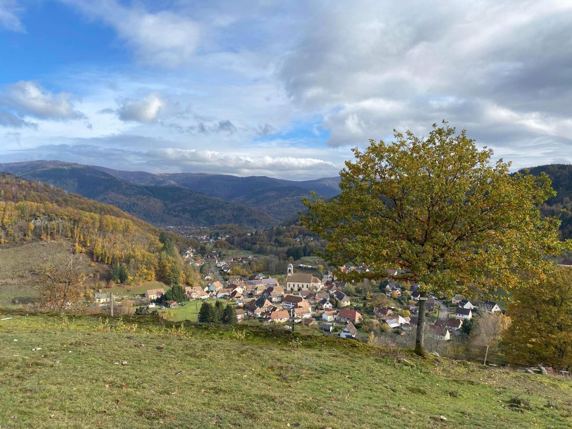 Petite Maison Au Calme Avec Jardin Cloture Les Animaux Bienvenue Mollau Exteriör bild